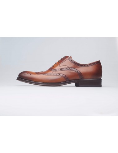 Oxford Derby Camel