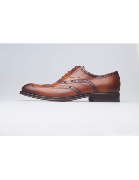 Oxford Derby Camel